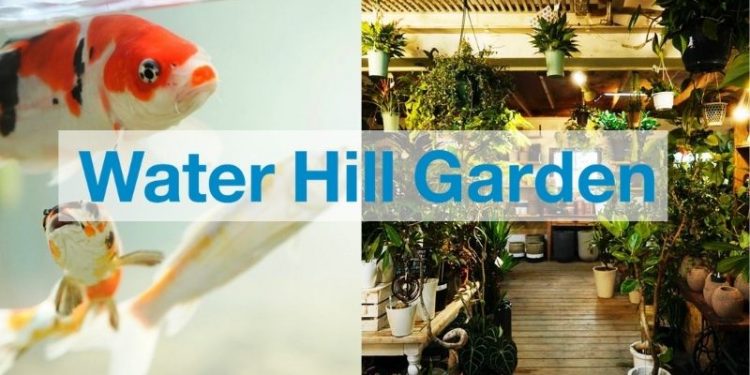 Water Hill Garden 吉田観賞魚 グリーンギャラリーガーデンズ 八王子 松木 八王子 由木マルシェ