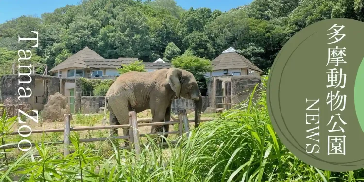 多摩動物公園イベント情報 | 八王子 由木マルシェ