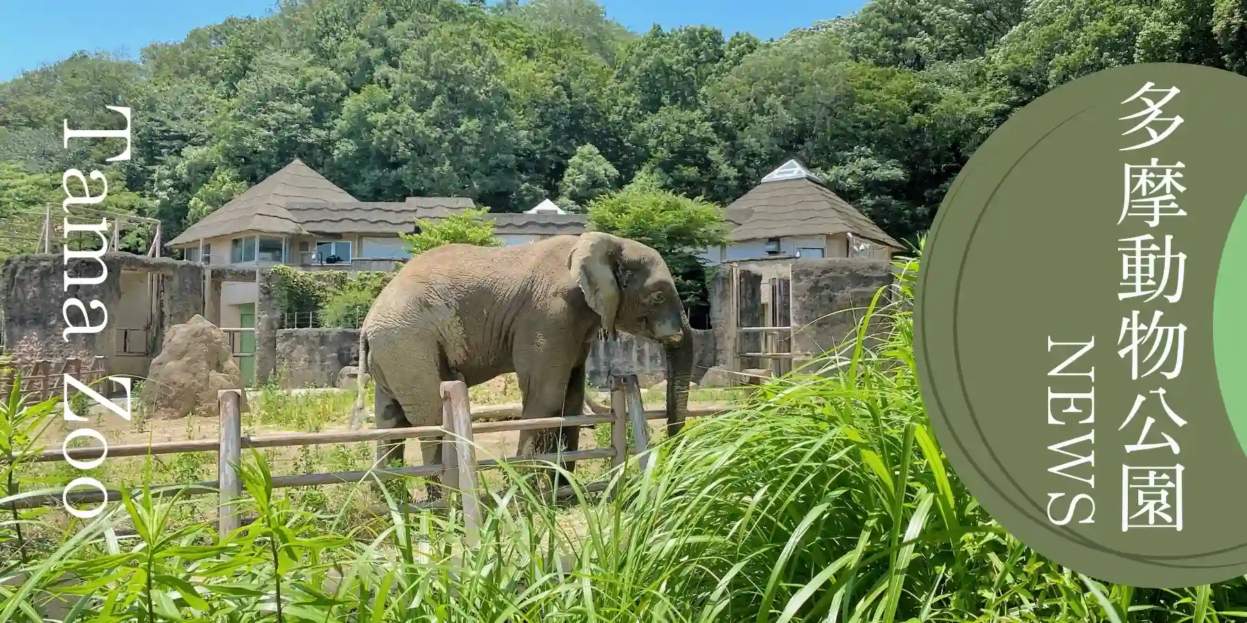 多摩動物公園イベント情報