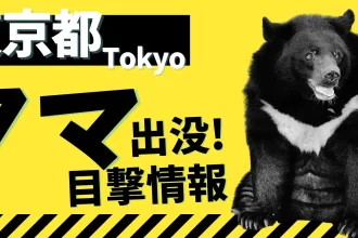 東京都クマ目撃出没捕獲情報