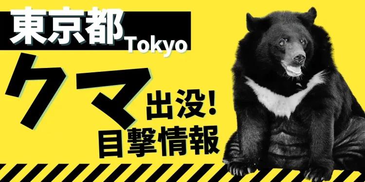 東京都クマ目撃出没捕獲情報